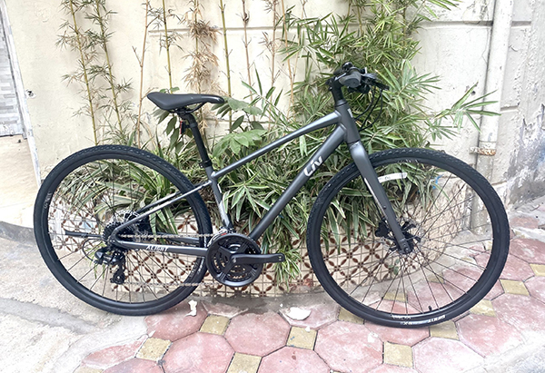 ale master bib shorts